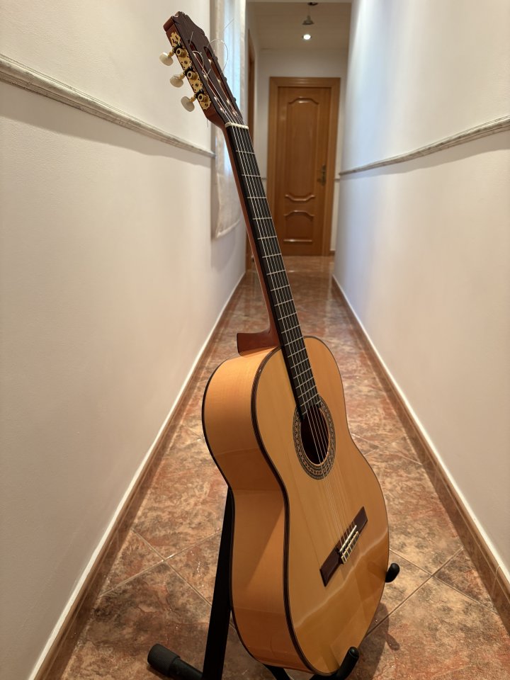 Guitarra flamenca Alhambra 7F