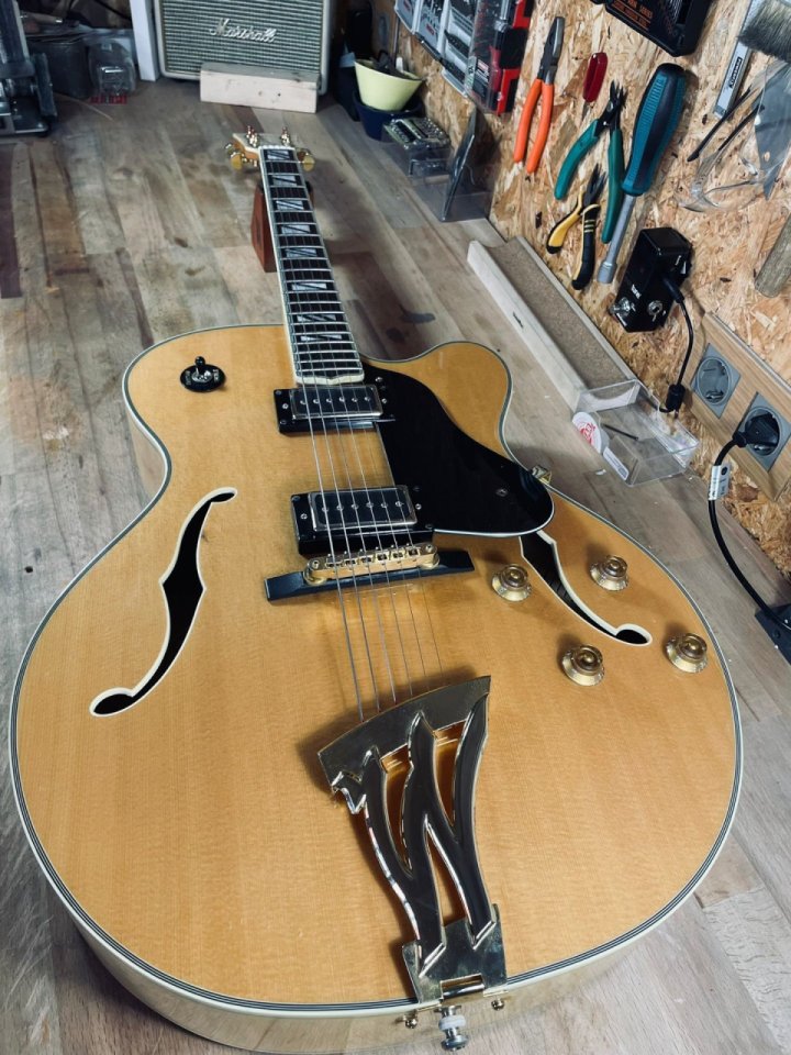 Washburn J6 Wes Montgomery muy muy mejorada