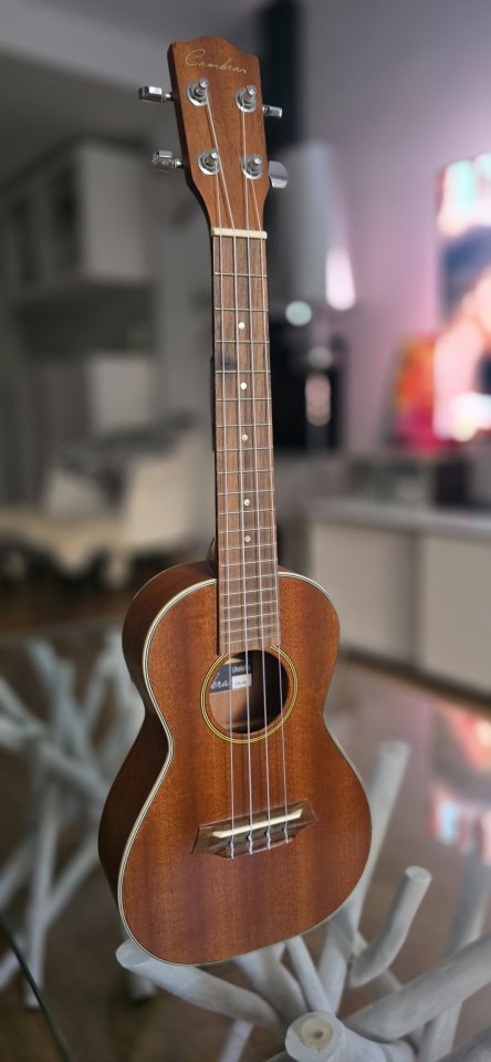 Ukelele Cambra de segunda mano · Foto 1 de 10 · Madrid · 49 €