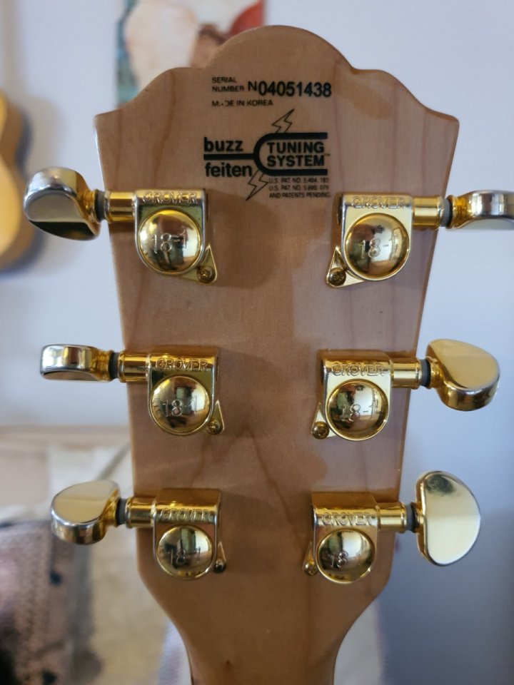 Washburn J6 Wes Montgomery muy muy mejorada