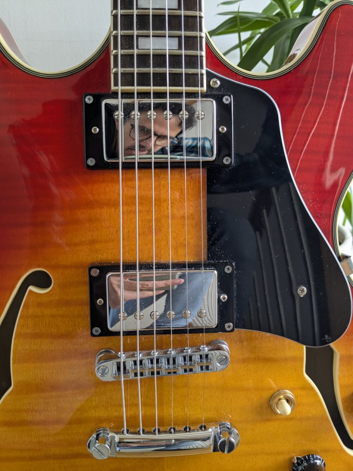 Sire Larry Carlton H7