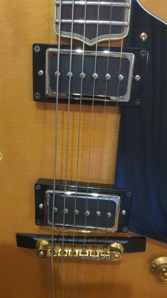 Washburn J6 Wes Montgomery muy muy mejorada