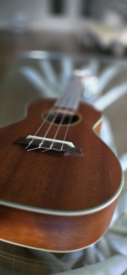 Ukelele Cambra de segunda mano · Foto 4 de 10 · Madrid · 49 €