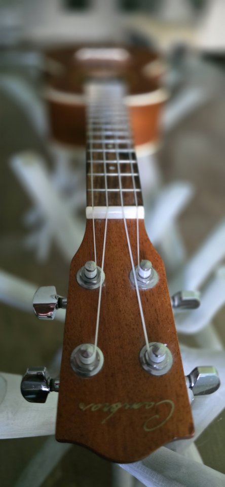 Ukelele Cambra de segunda mano · Foto 5 de 10 · Madrid · 49 €