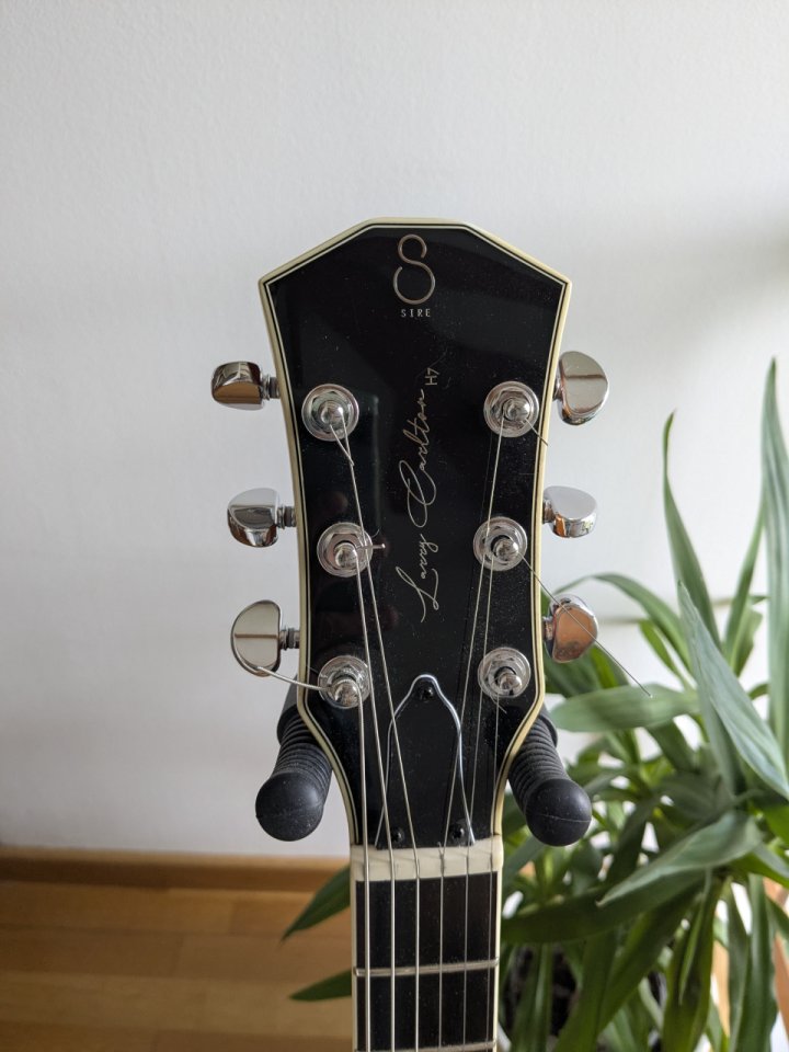 Sire Larry Carlton H7