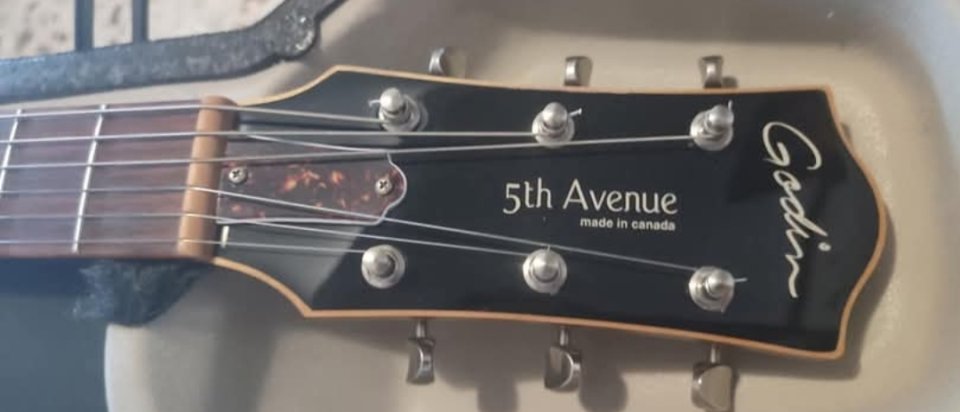 Godin 5th Avenue Kingpin P90 Electro