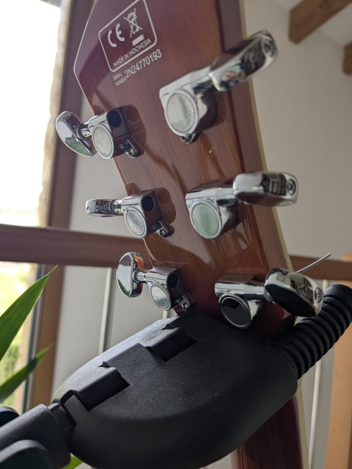 Sire Larry Carlton H7