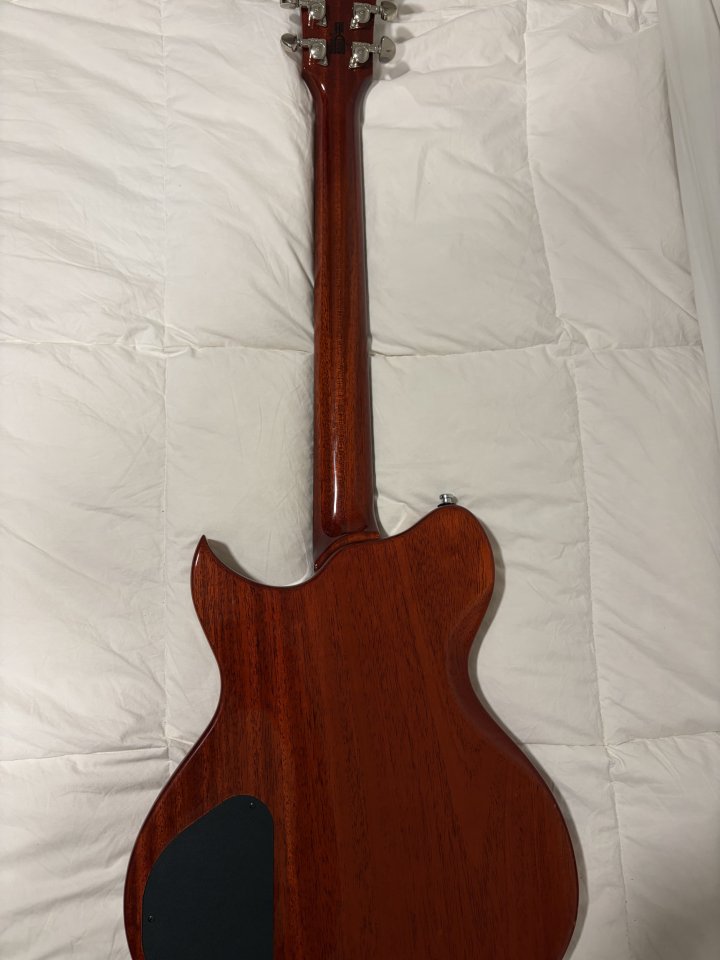 Washburn Idol Custom Shop USA de segunda mano · Foto 2 de 10 · Madrid · 1300 €