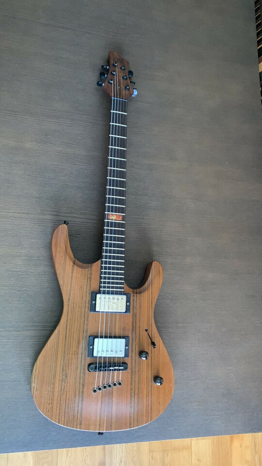 Mayones Setius Lizard