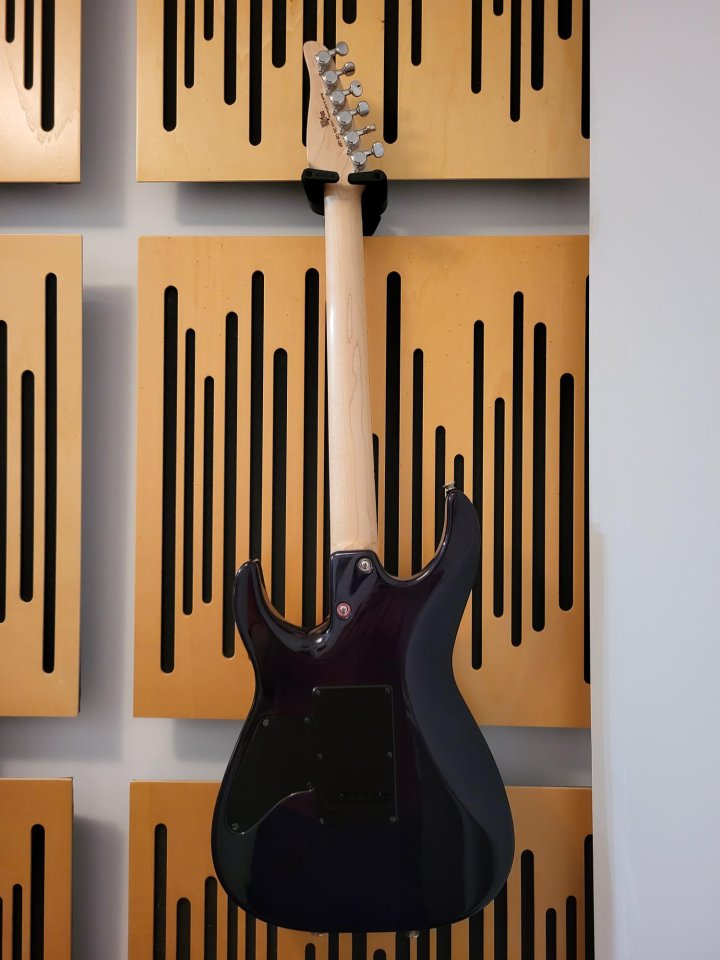 Tom Anderson Angel HSH 2018