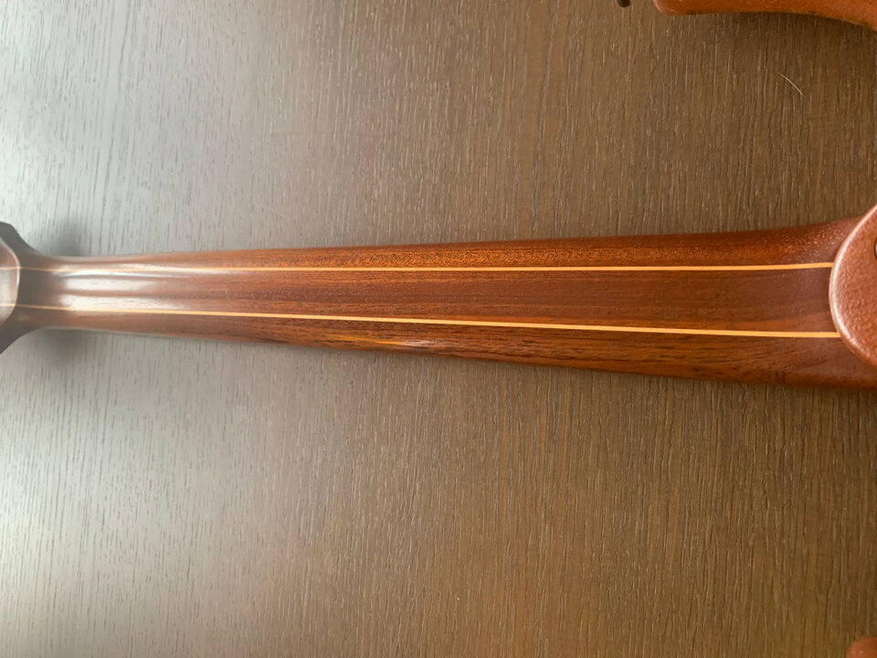 Mayones Setius Lizard