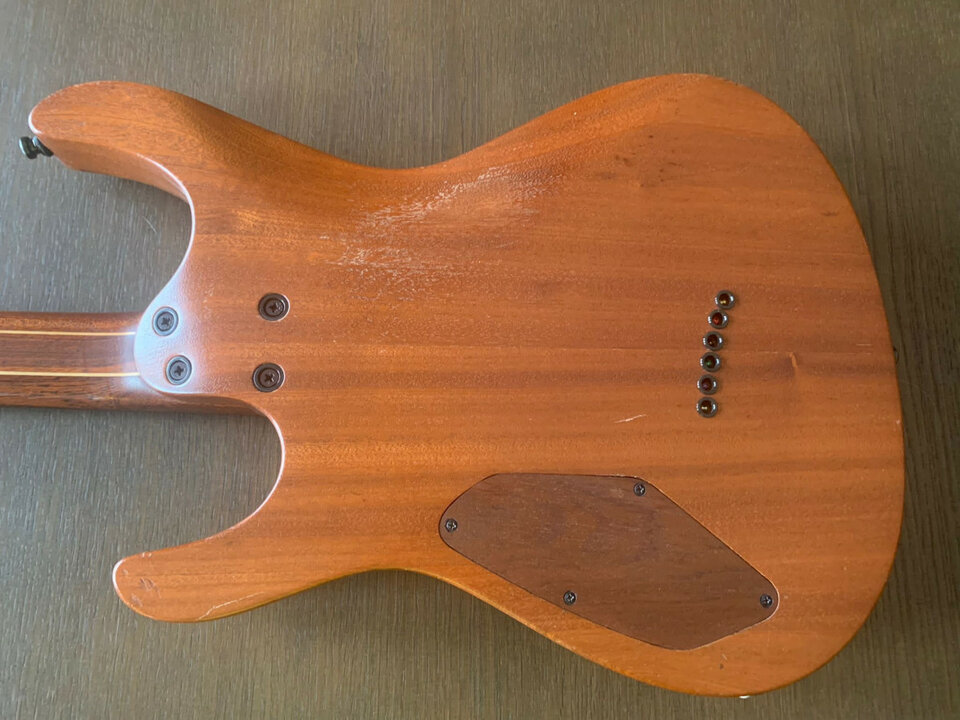 Mayones Setius Lizard