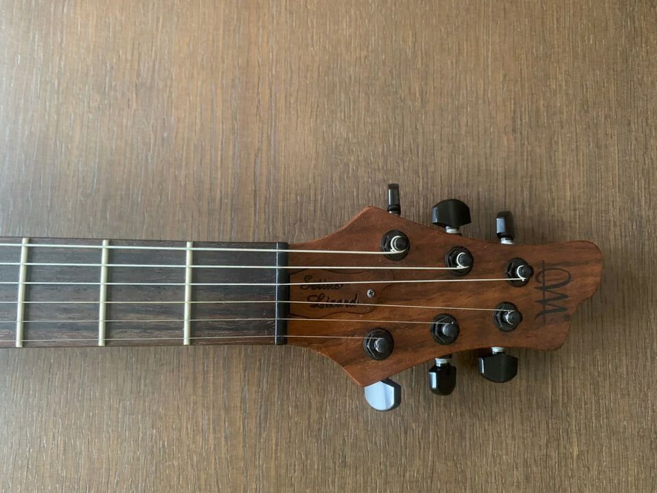 Mayones Setius Lizard