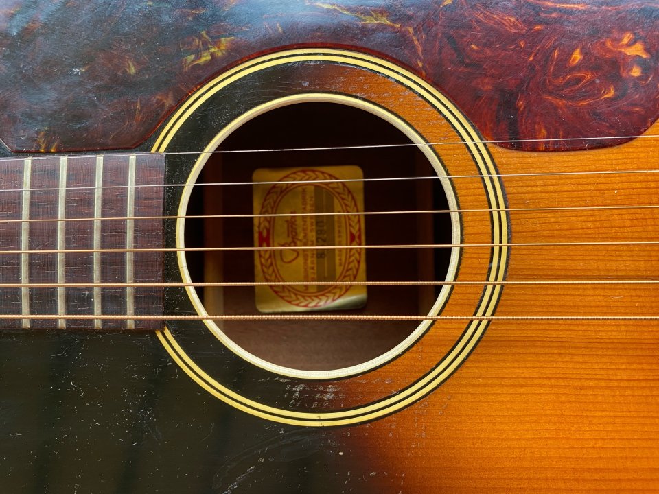 Bjärton Sammy de 1966 Brazilian