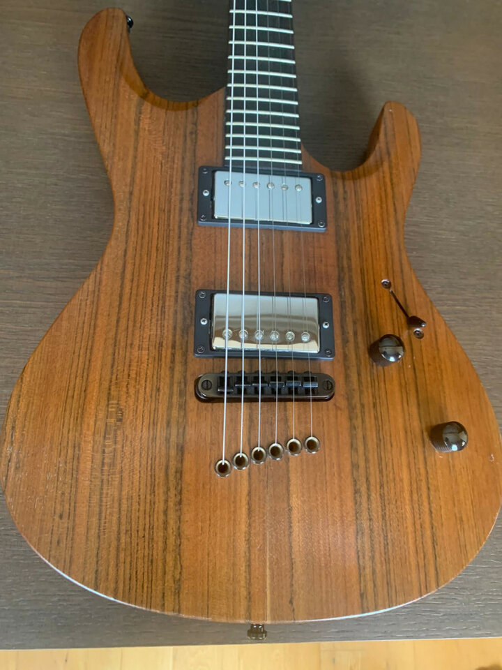 Mayones Setius Lizard