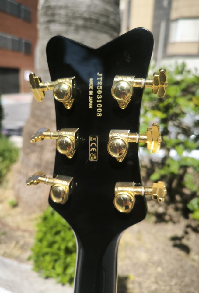 Gretsch G6134TG Paisley Gold Penguin Ltd. ¡Como nueva y envío incluido! de segunda mano · Foto 5 de 8 · Murcia · 2800 €