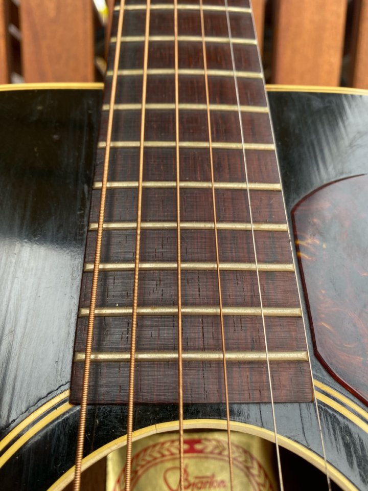 Bjärton Sammy de 1966 Brazilian