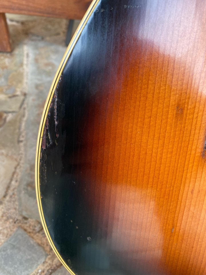 Bjärton Sammy de 1966 Brazilian