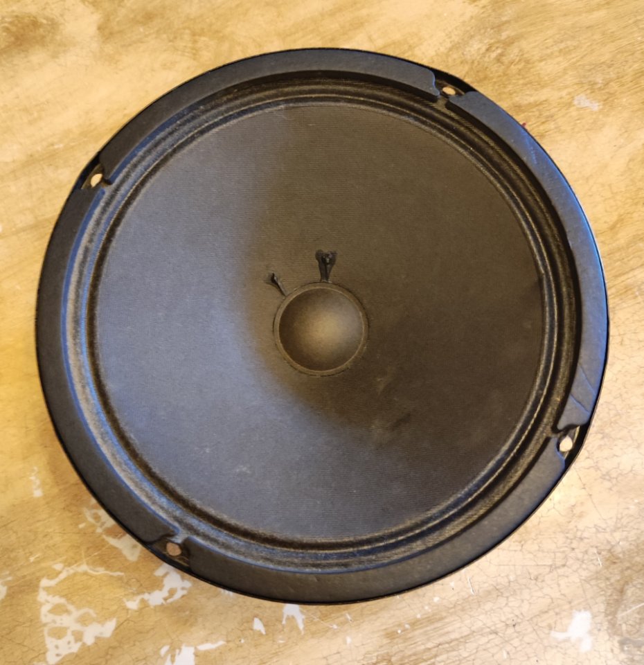 Altavoz Fender 8" y 8 ohm de segunda mano · Foto 1 de 2 · Barcelona · 20 €