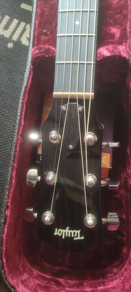 Taylor 514CE (a estrenar)