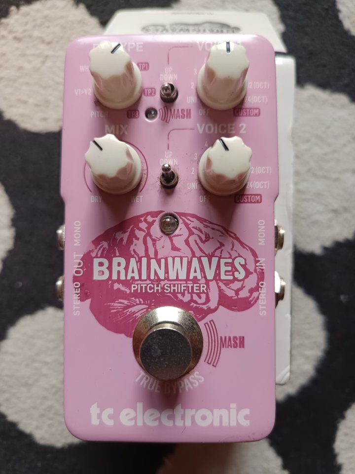 Pedal TC Electronic Brainwaves Pitch Shifter de segunda mano · Foto 1 de 5 · Bizkaia · 110 €