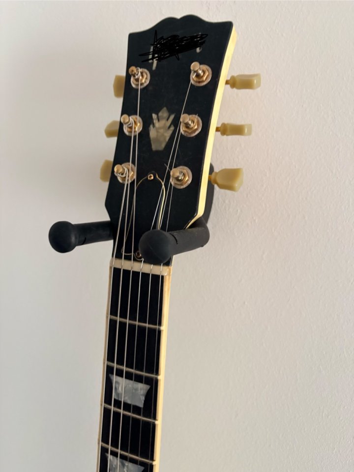 SG P90 de luthier