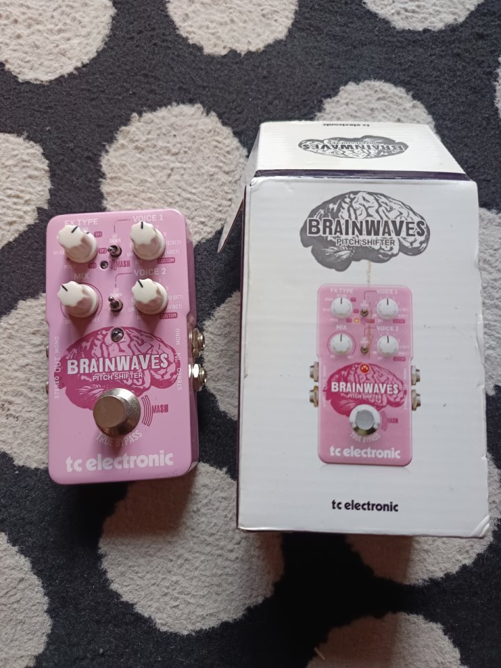 Pedal TC Electronic Brainwaves Pitch Shifter de segunda mano · Foto 2 de 5 · Bizkaia · 110 €