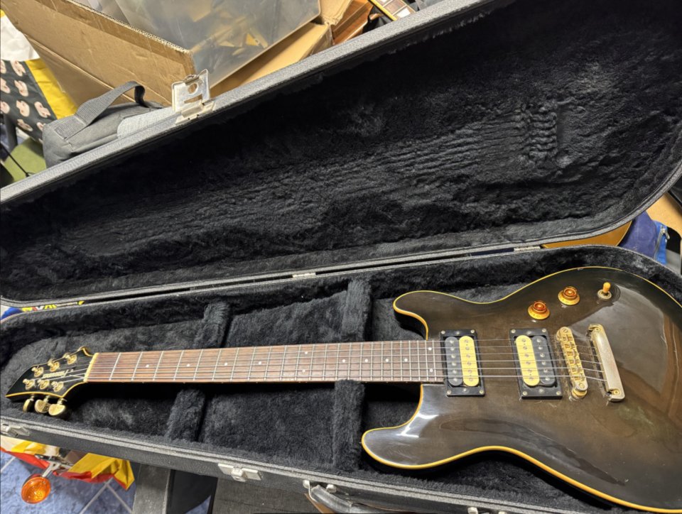 Fernandes APG 100 Premium MIJ