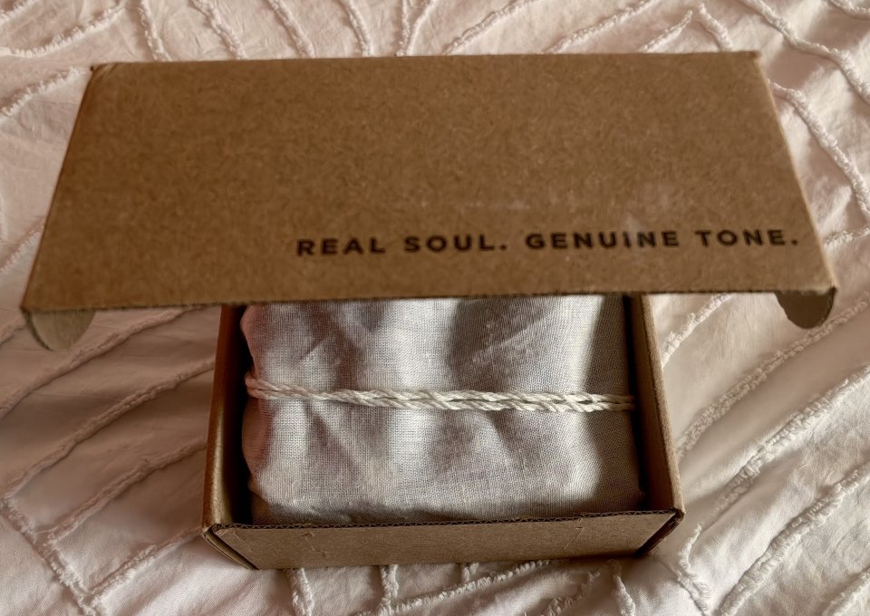 Seymour Duncan Polaron Analog Phase Shifter/Envelope Filter/Flanger/AutoWah