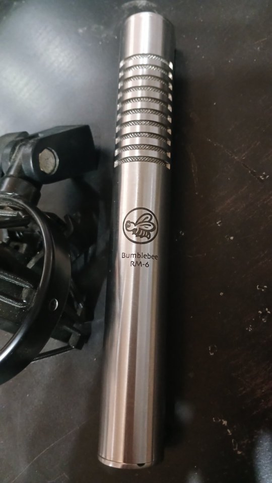 Bumblebee RM6