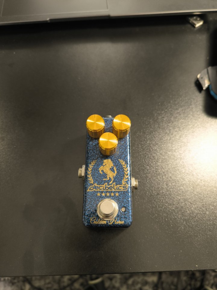 Decibelics Golden Horse