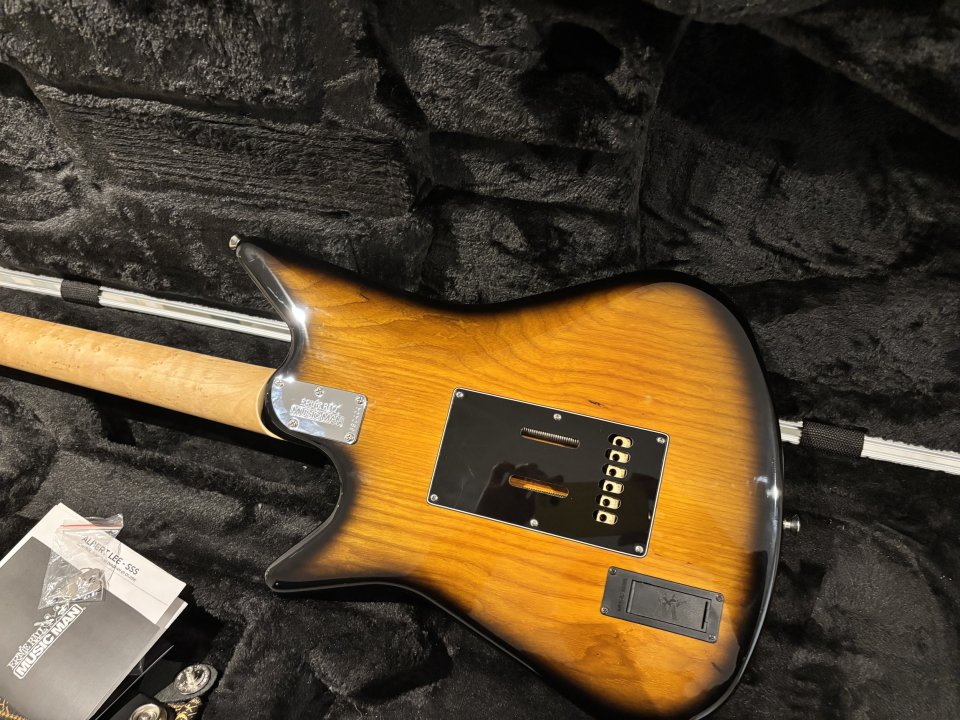 Music Man Albert Lee