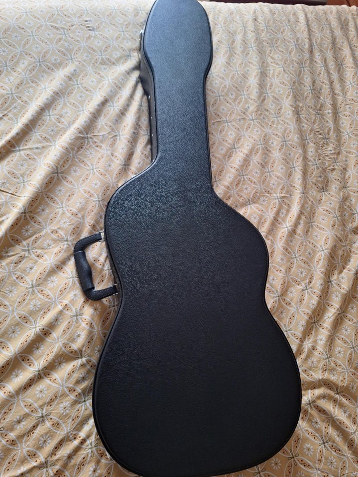 Guild Surfliner Deluxe Evergreen