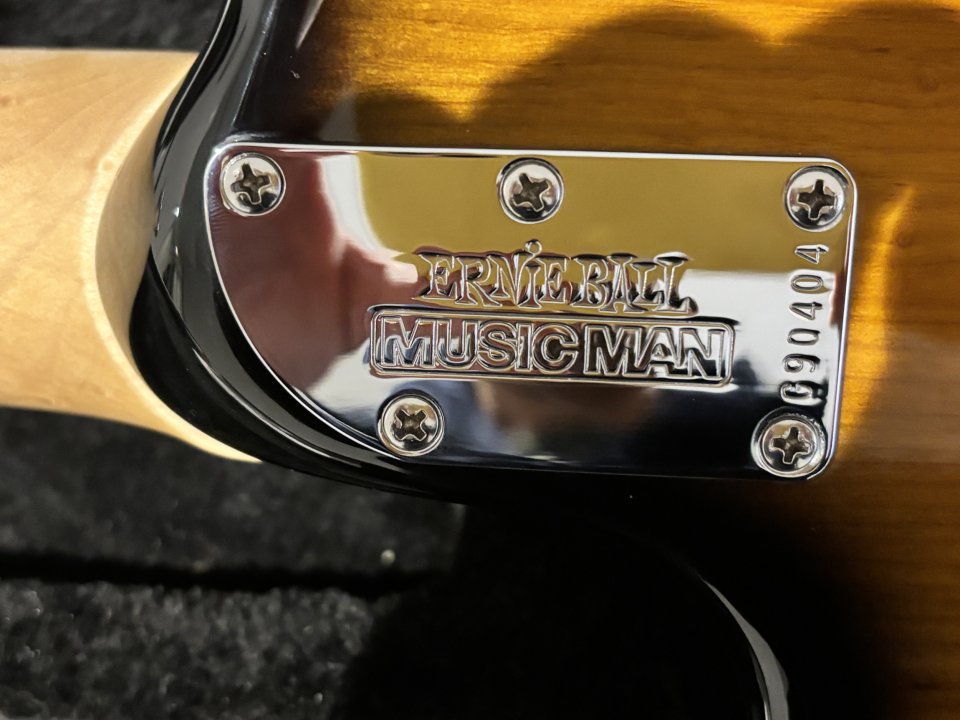 Music Man Albert Lee