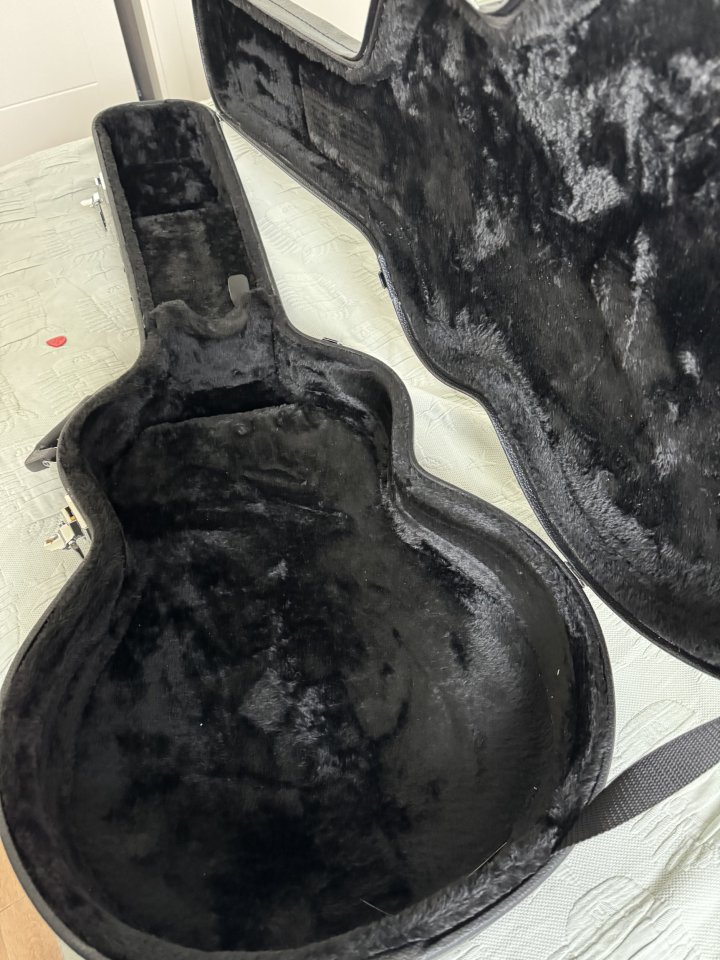 Guitarra Ibanez AS73 en color verde oliva (OLM) solo hoy!!