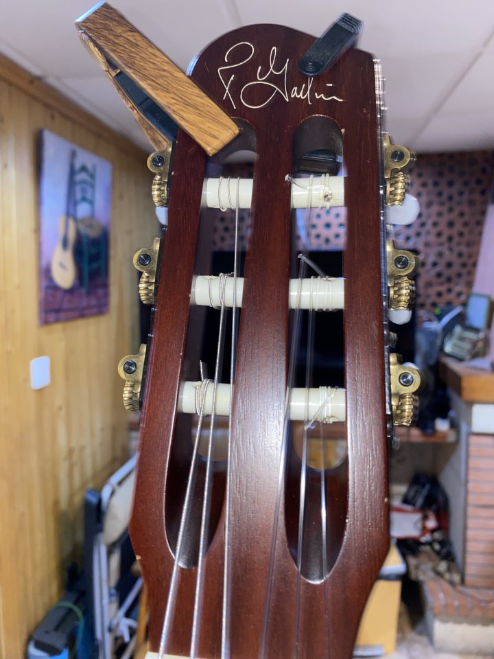 Godin Multiac Grand Concert Duet (2003) - Gama Alta (Mic/Piezo) + Estuche TRIC de segunda mano · Foto 1 de 9 · Granada · 1600 €