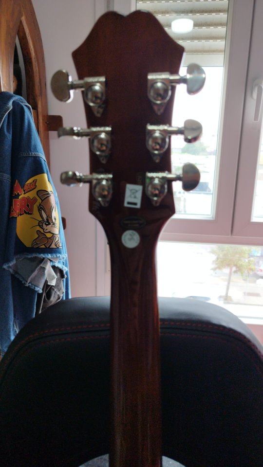 Epiphone dc pro