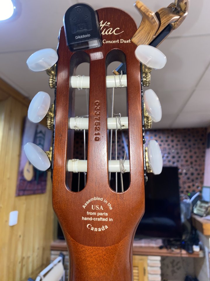 Godin Multiac Grand Concert Duet (2003) - Gama Alta (Mic/Piezo) + Estuche TRIC de segunda mano · Foto 2 de 9 · Granada · 1600 €