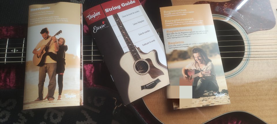 Taylor 514CE (a estrenar)