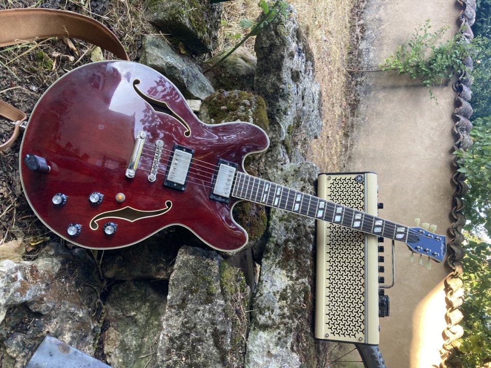 Stanford Crossroads Thinline 35