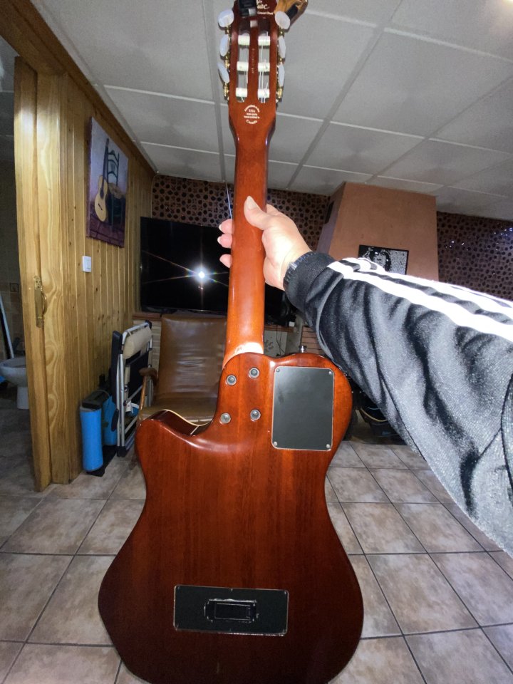 Godin Multiac Grand Concert Duet (2003) - Gama Alta (Mic/Piezo) + Estuche TRIC de segunda mano · Foto 7 de 9 · Granada · 1600 €