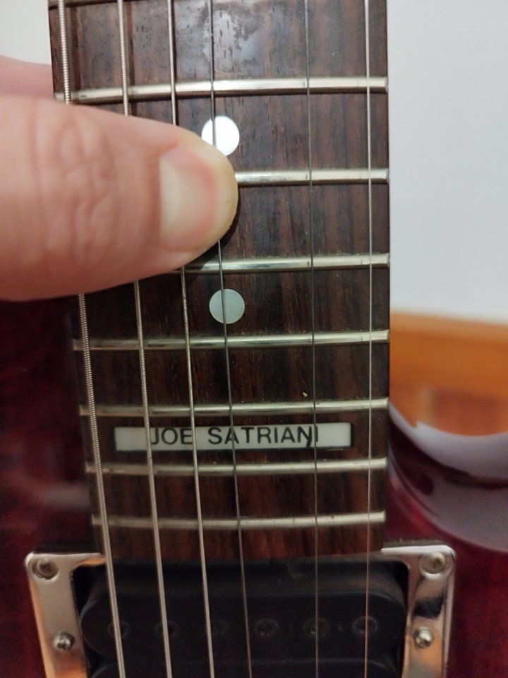 o Vendo Ibanez JS100