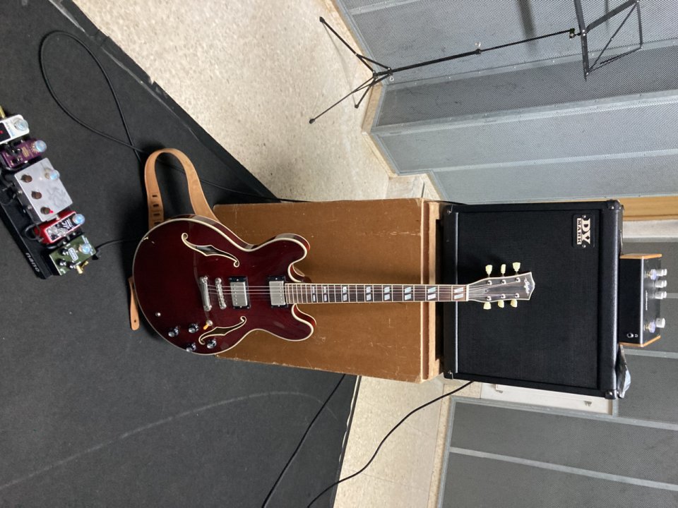 Stanford Crossroads Thinline 35