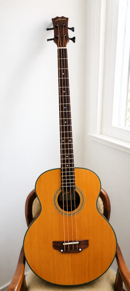 Bajo FENIX B-10 by Young Chang de segunda mano · Foto 1 de 8 · Madrid · 125 €