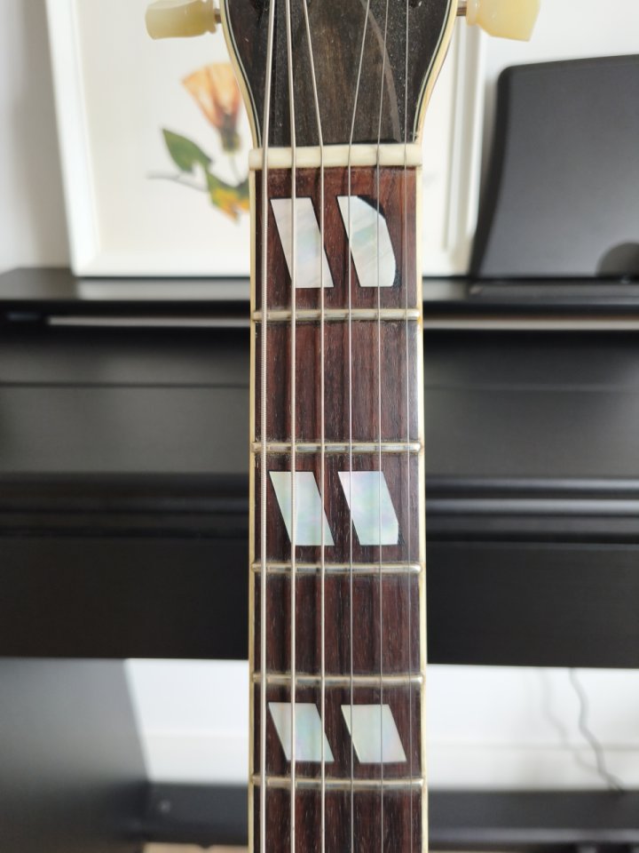 Stanford Crossroads Thinline 35