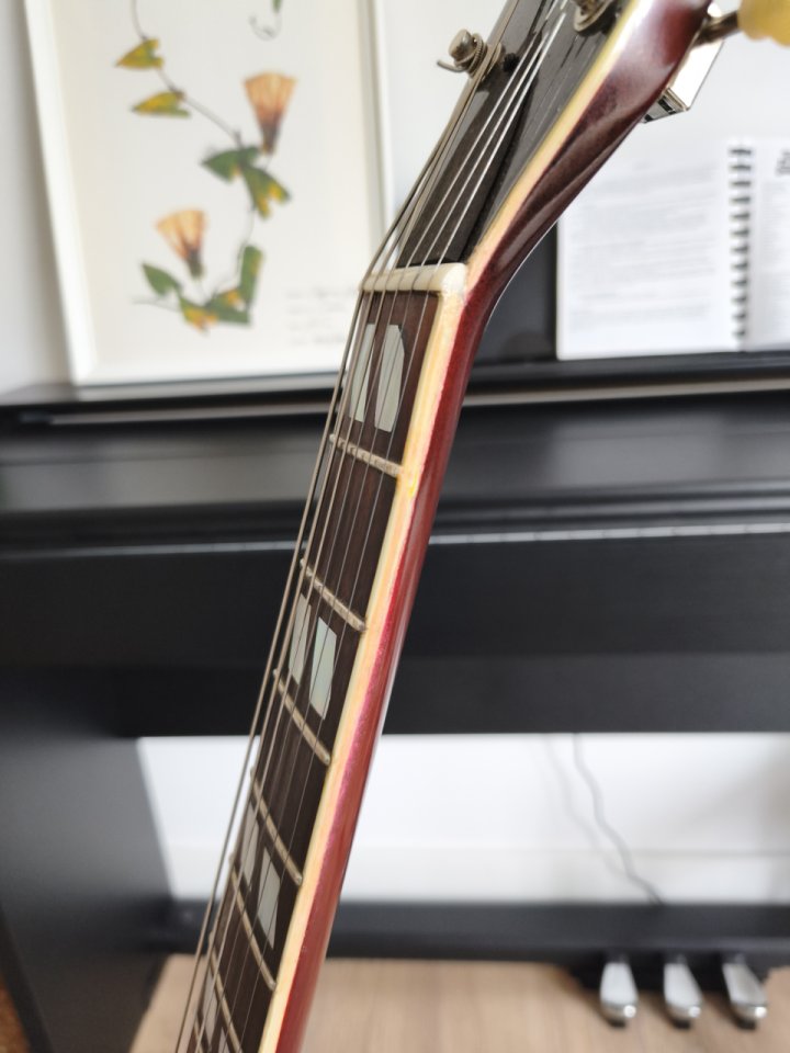 Stanford Crossroads Thinline 35