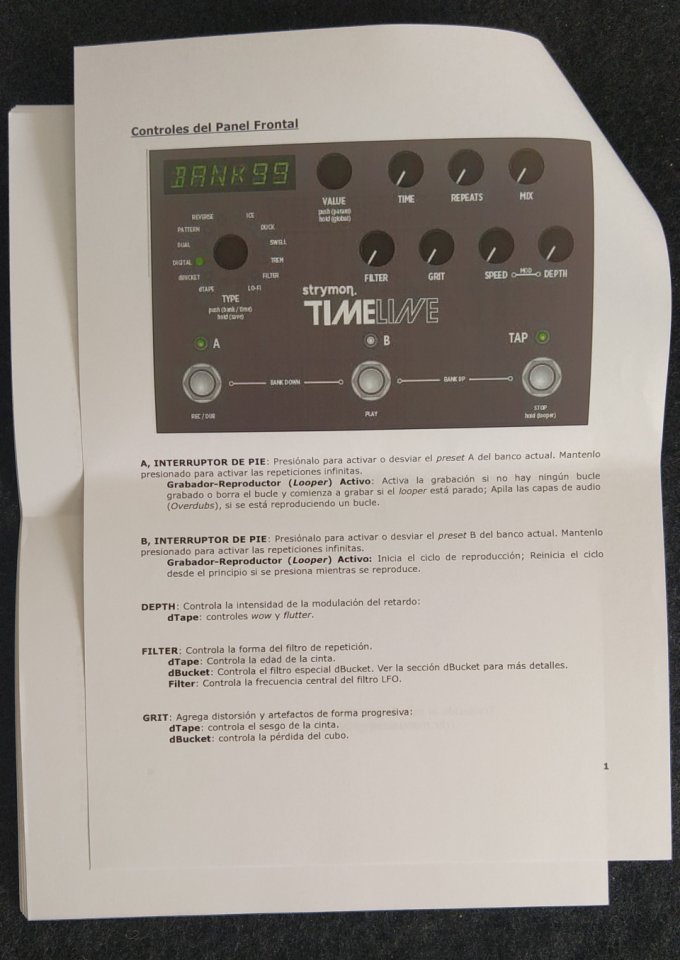 Strymon Timeline de segunda mano · Foto 9 de 10 · Valencia · 350 €