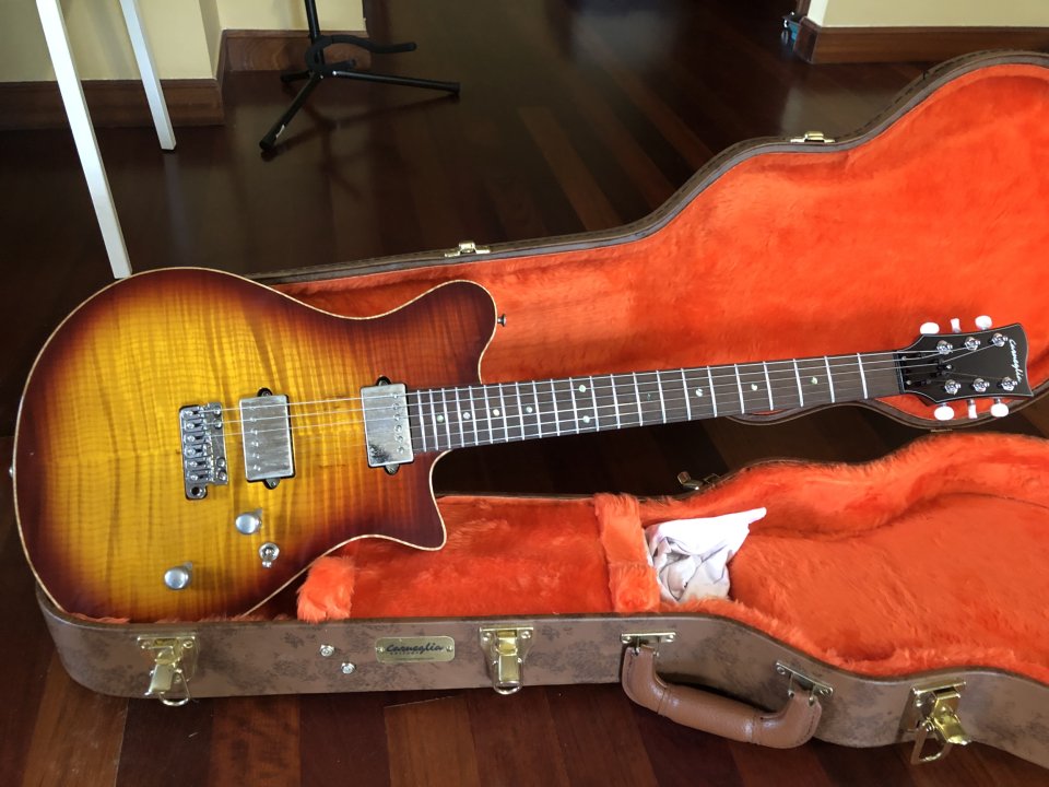 Carneglia Custom Shop Sublime de segunda mano · Foto 2 de 10 · Bizkaia · 3000 €