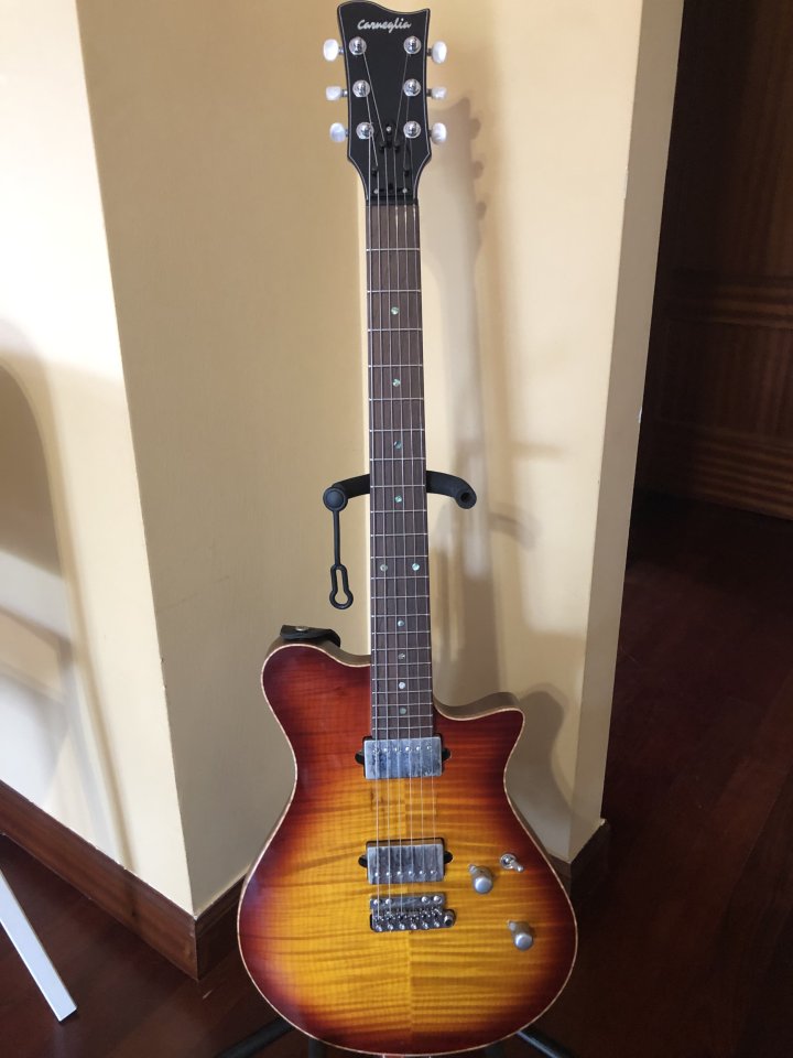 Carneglia Custom Shop Sublime de segunda mano · Foto 4 de 10 · Bizkaia · 3000 €