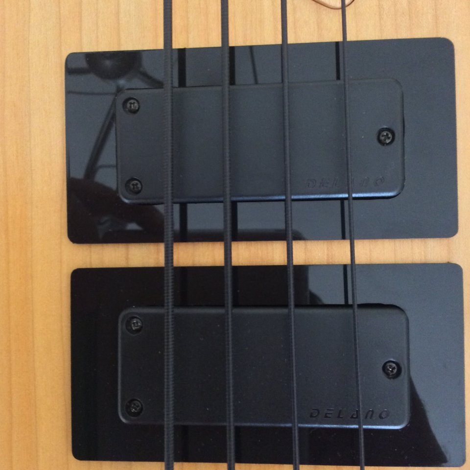 Bajo Fretless Customizado